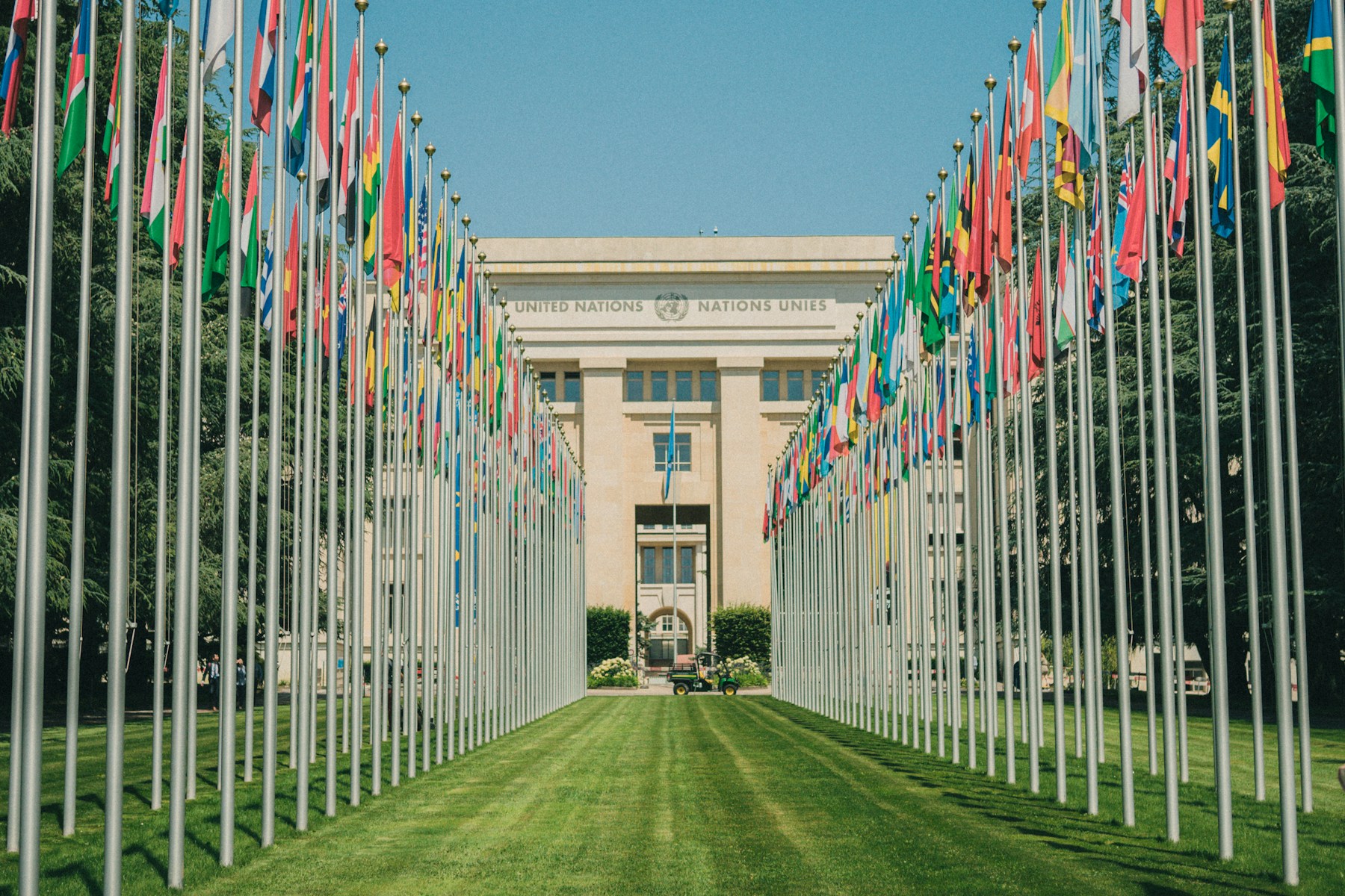 Row of member-state flags