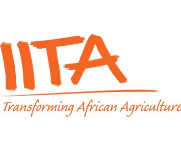 International Institute of Tropical Agriculture logo